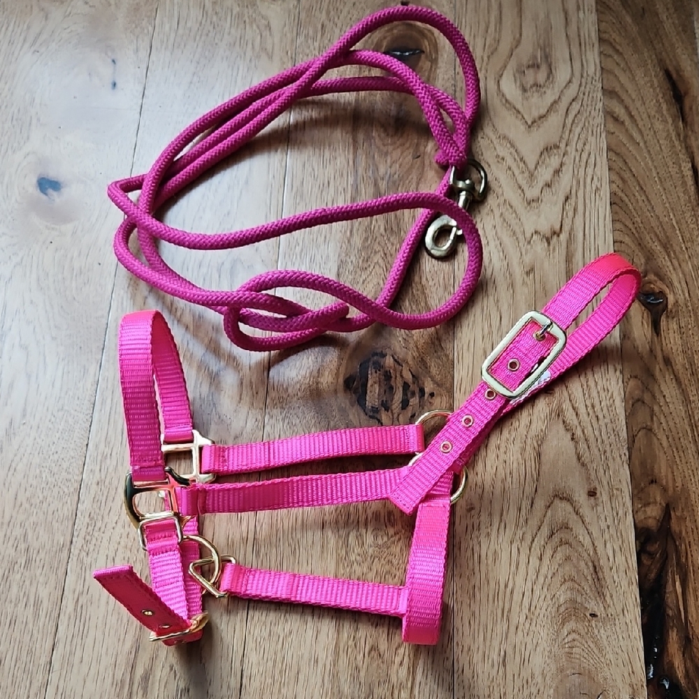 Pink Miniature Horse Harness and Lead Rope Set